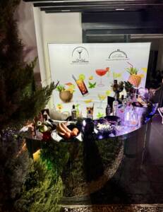 kokteyl bar catering